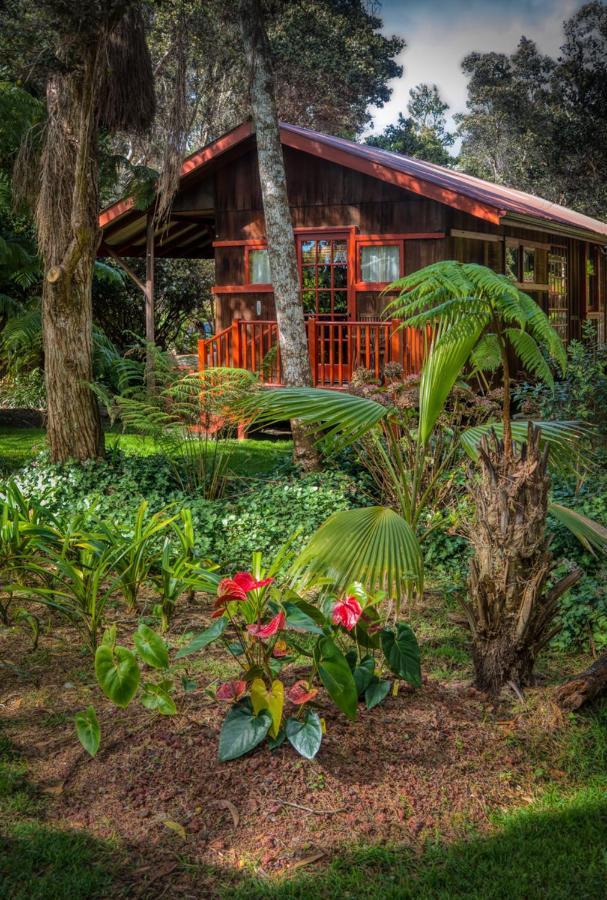 Crater Rim Cabin 호텔 볼케이노 외부 사진